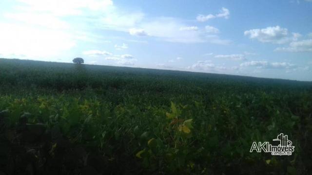8046 | Chácara à venda em Centro, Peabiru - Foto 2