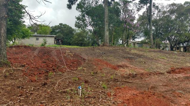 Terreno para Barracões e Oficas Ótima Localização CIC/ BR 277 - Foto 5
