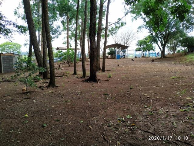 Fazenda - Foto 11