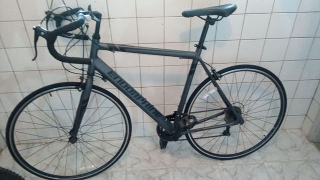 bike endorphine fast 10