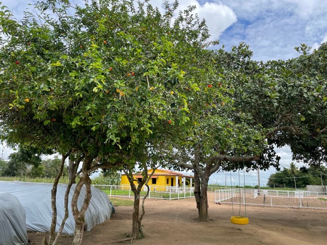 Vendo Fazendinha em São Gonçalo dos Campos 