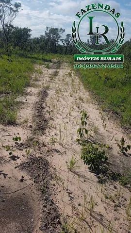 Fazenda 858 Alqueires Dupla Aptidão no Tocantins - Foto 4