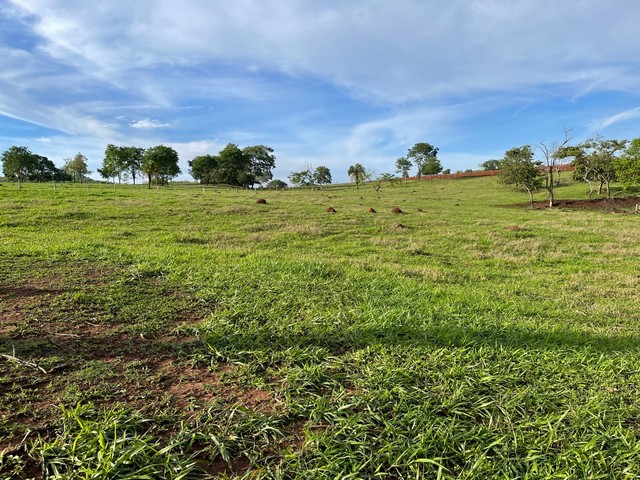 Chácara de 02 alqueires e 27 litros em Itauçu-GO - Foto 5