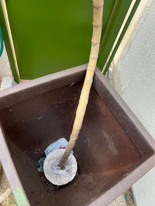 Vaso com planta decorativa de bambu - Foto 3