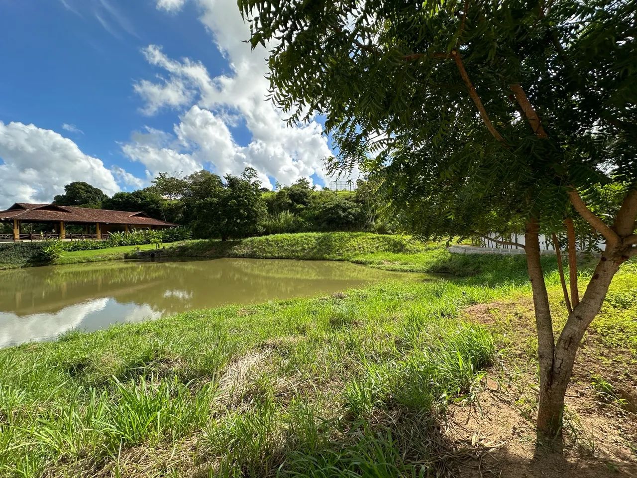 Lote Carpina - Rancho Olindense  - Foto 3