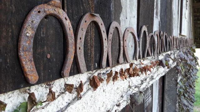 Coleção de ferraduras, 32 unidades