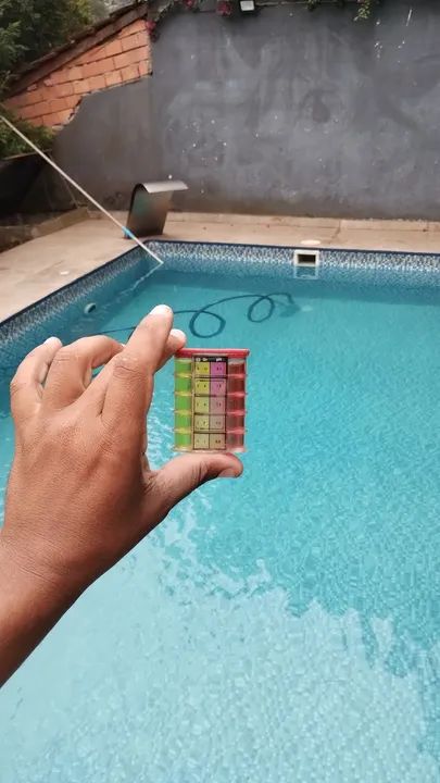 Limpeza/piscina/tratamento
