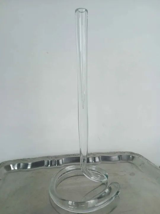 VASO SOLITÁRIO - Foto 2