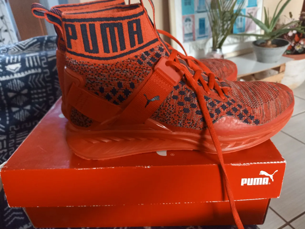 Puma Ignite evoknit