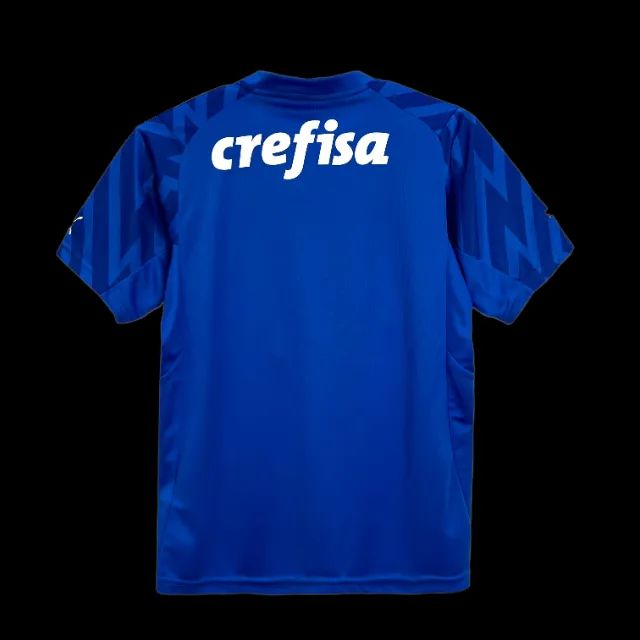 Camisa Palmeiras Goleiro 2024 - Foto 4