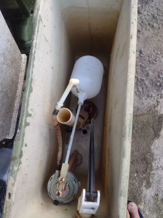 Vaso de banheiro cor verde  - Foto 6