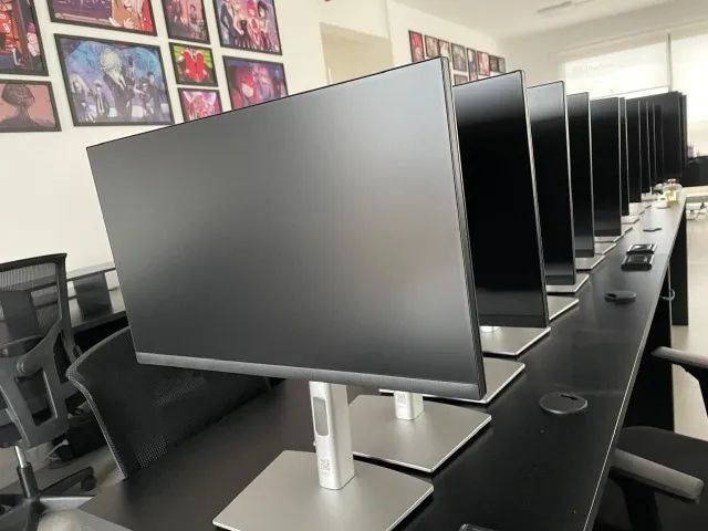 Monitor DELL