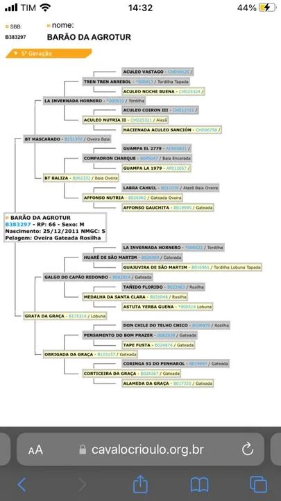 Cuiudo oveiro, confirmado  - Foto 5