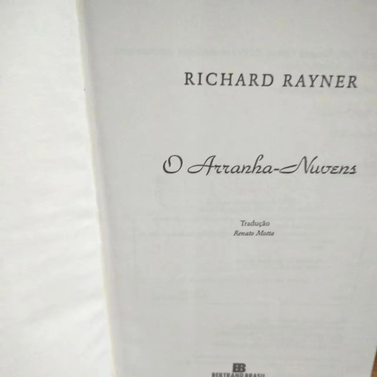 Livro O aranha - Nuvens - Richard Rayner - Foto 6