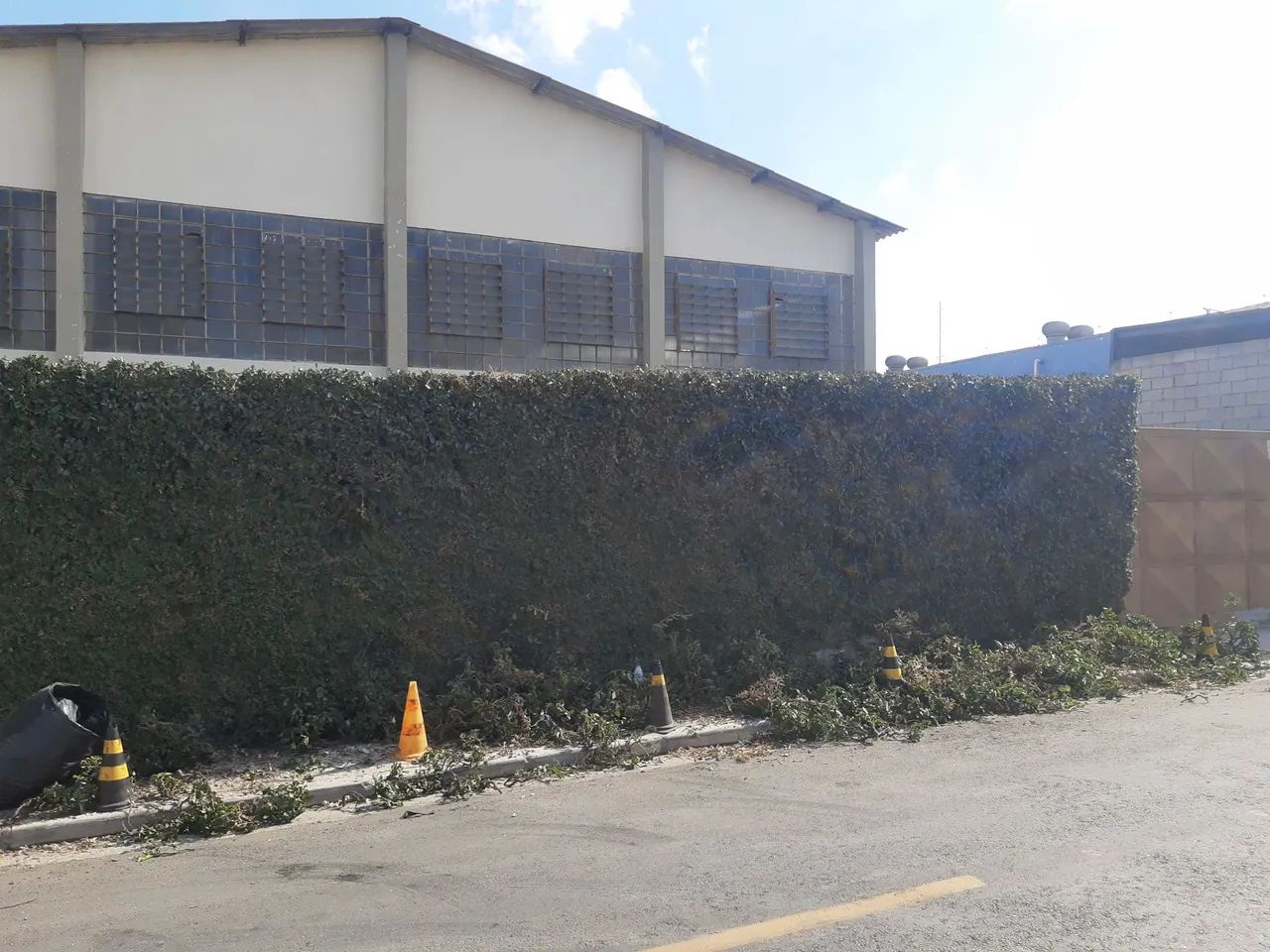 Jardineiro em Guarulhos ( Residência / Comércio / Empresa ) - Foto 4