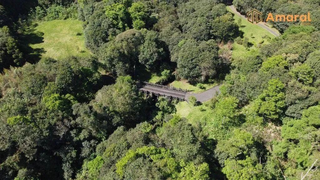 LINDA ÁREA PARA VENDA -AO LADO PARQUE VISTA ALEGRE - Foto 8