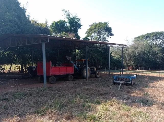 Fazenda à venda - 14 alqueires em Bela Vista de Goiás - diretamente com o proprietário - Foto 13