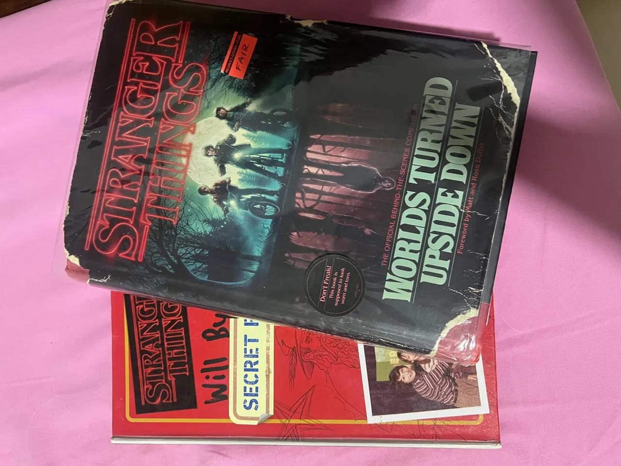 Livros stranger things