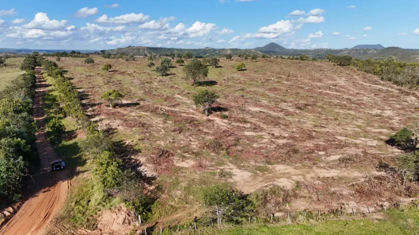 Chácara 99,9 Hectares com Bom Preço em Camapuã - MS !