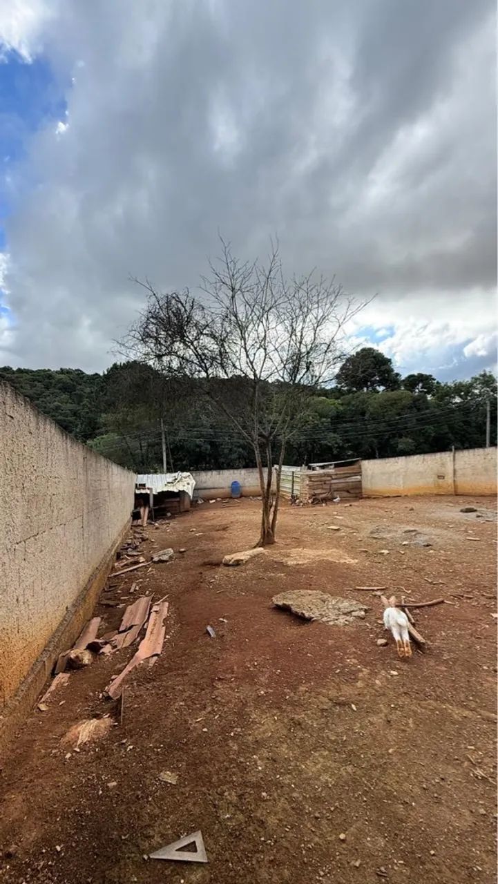 Terreno murado e terraplano. Desconto imediato! - Foto 3