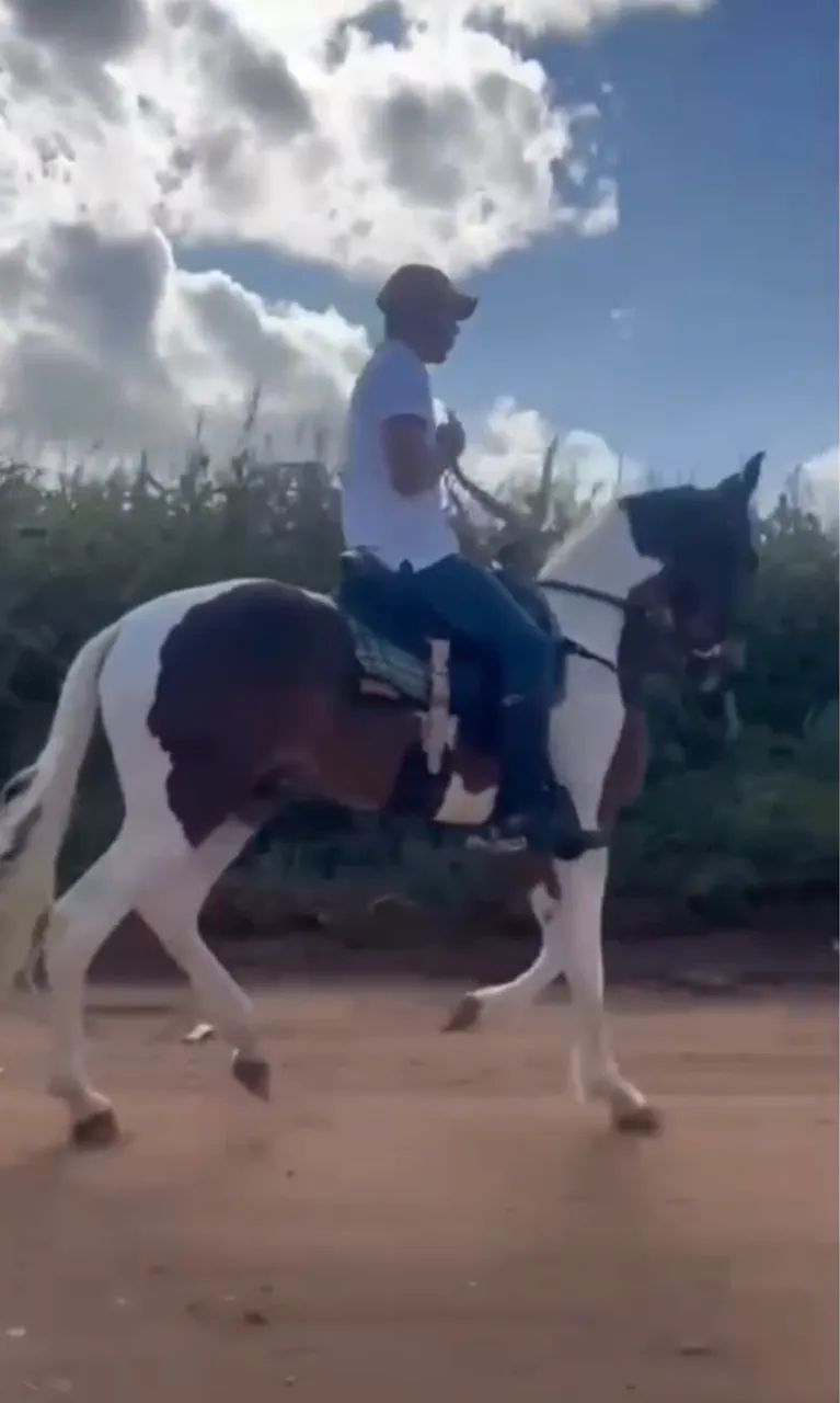 Cavalo PaMpa de Marcha picada potro lindo ..  - Foto 4