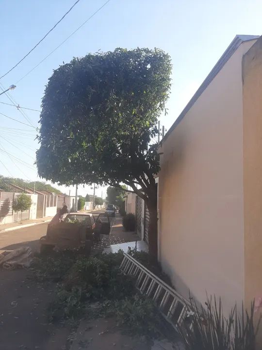 ? jardinagem nossa senhora Aparecida  - Foto 4