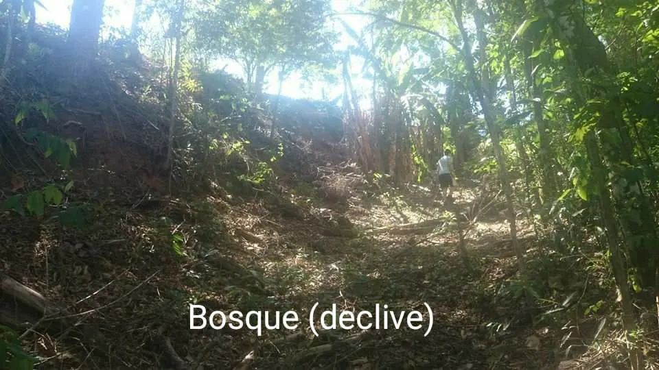 TERRENO 1.000 m² PLANO, EM CONDOMÍNIO FECHADO, ESTUDO PARCELAMENTO  - Foto 10