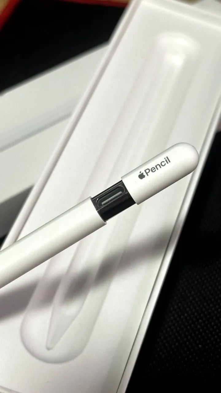Apple Pencil (USB-C)箱入り Apple Pencil (USB-C) - Periféricos e Acessórios de Computador
