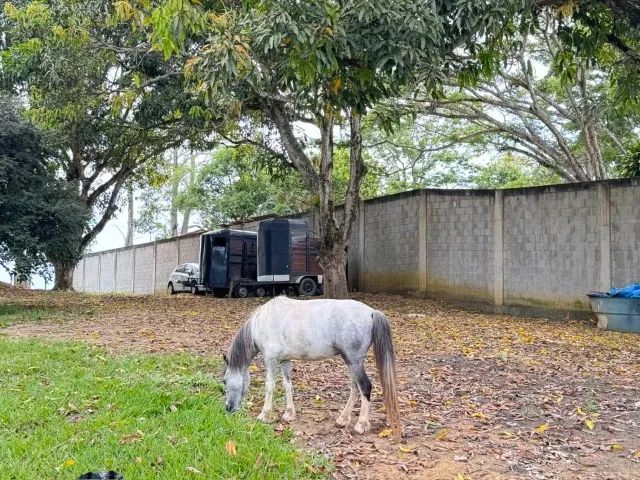 Ponei com charrete - Foto 2