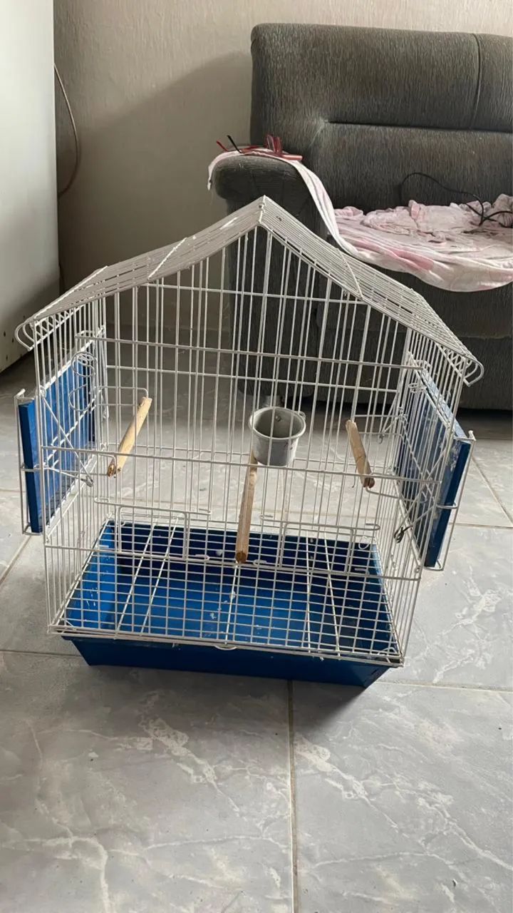 Acessório para pássaros 