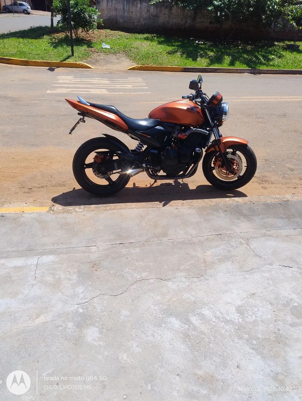 Hornet 