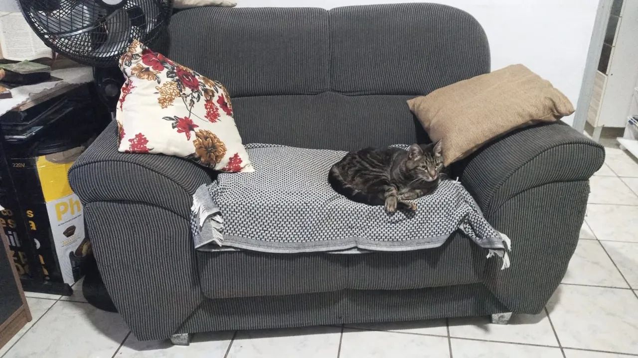 Doação sofa