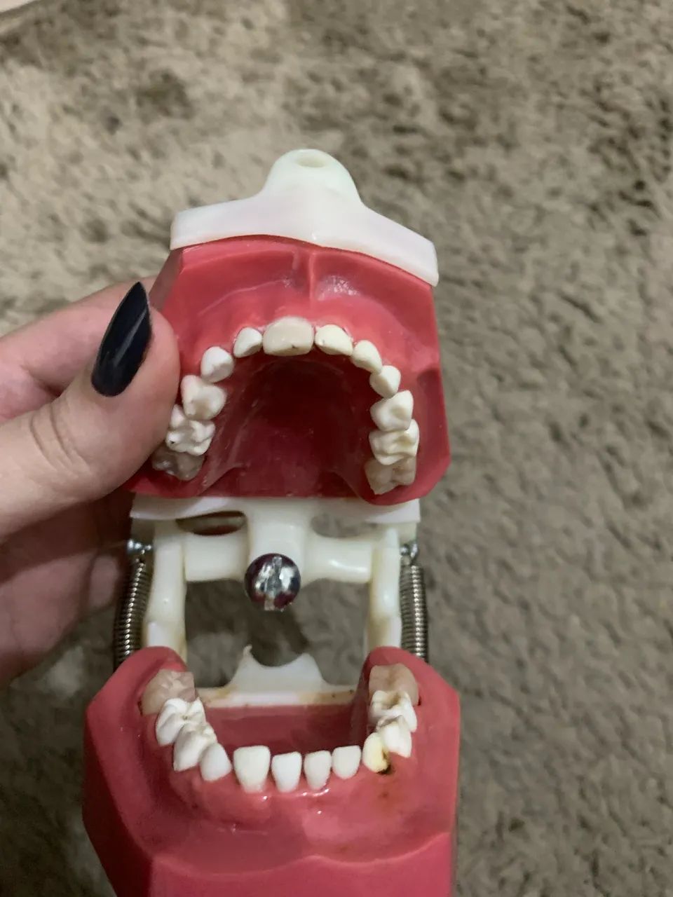 Manequim odontológico pediátrico Dent art