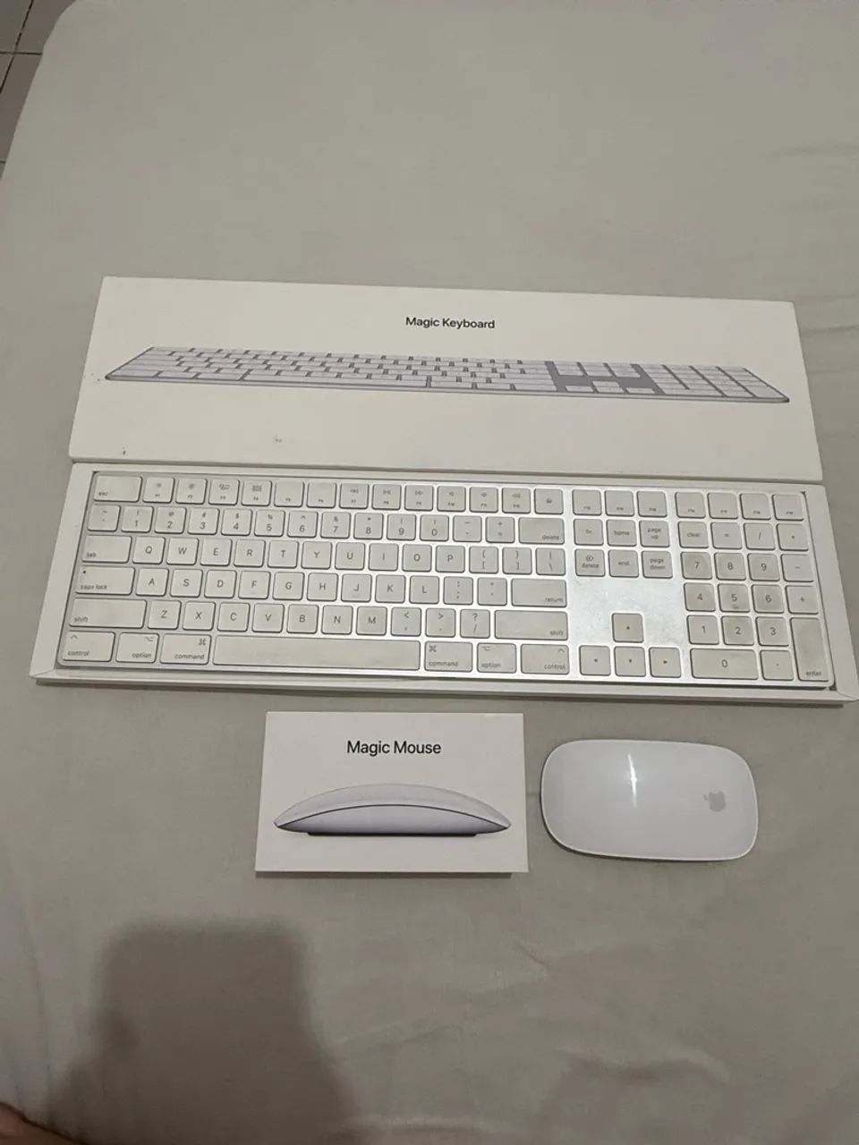 Teclado e mouse Apple 