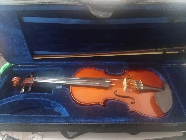 Violino Eagle VE144 Master Series - Regulado por Luthier