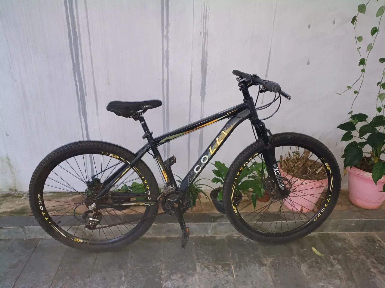 Bike coli - Foto 2