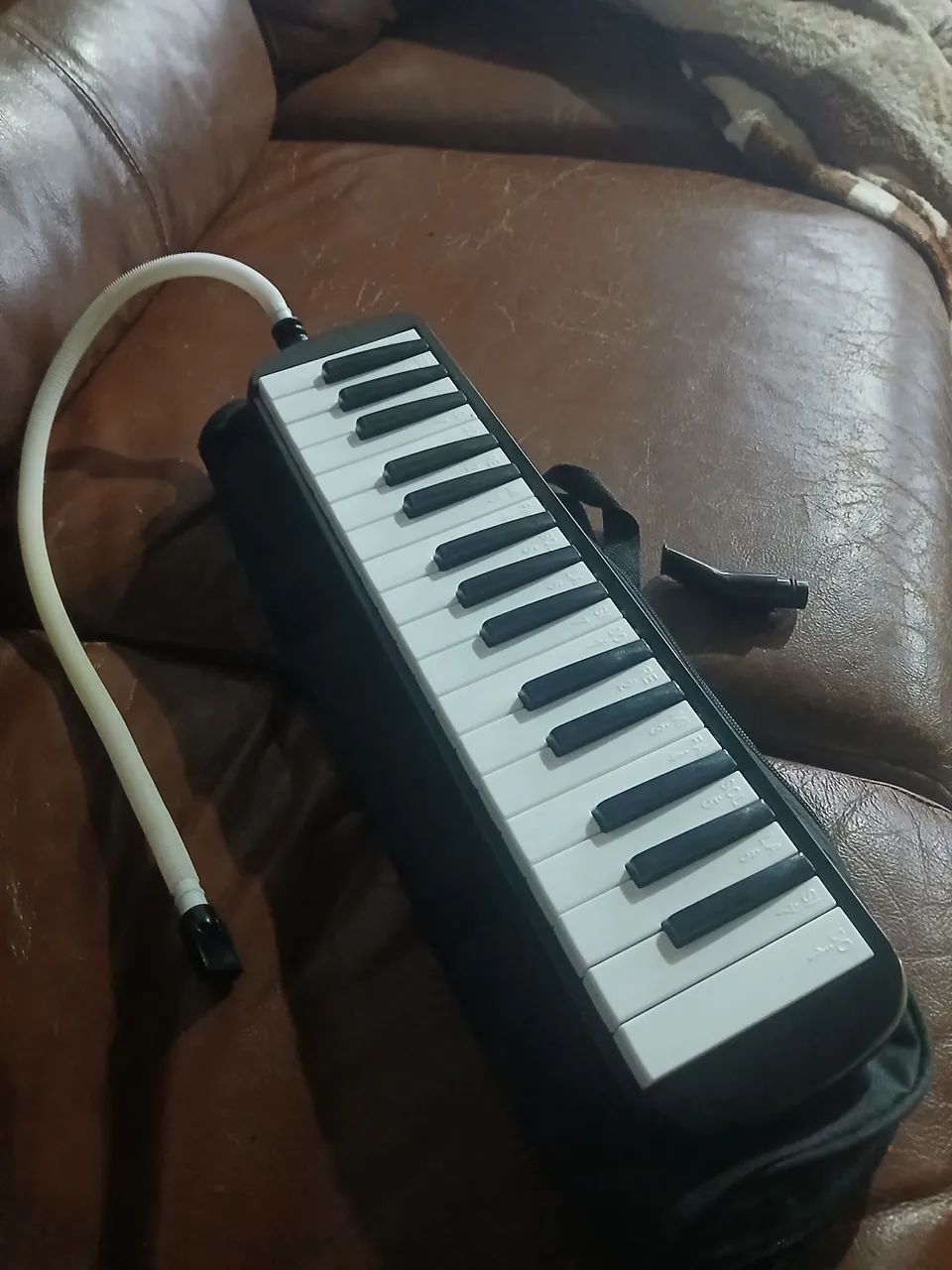 Escaleta Melodica - Foto 5