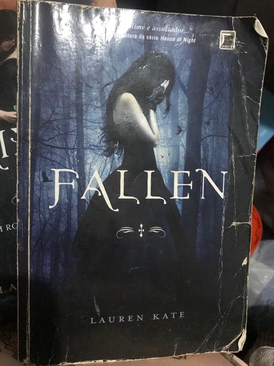Livros Fallen, Tormenta e Paixão  - Foto 3