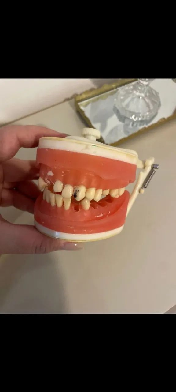 Manequim odontológico/periodontia