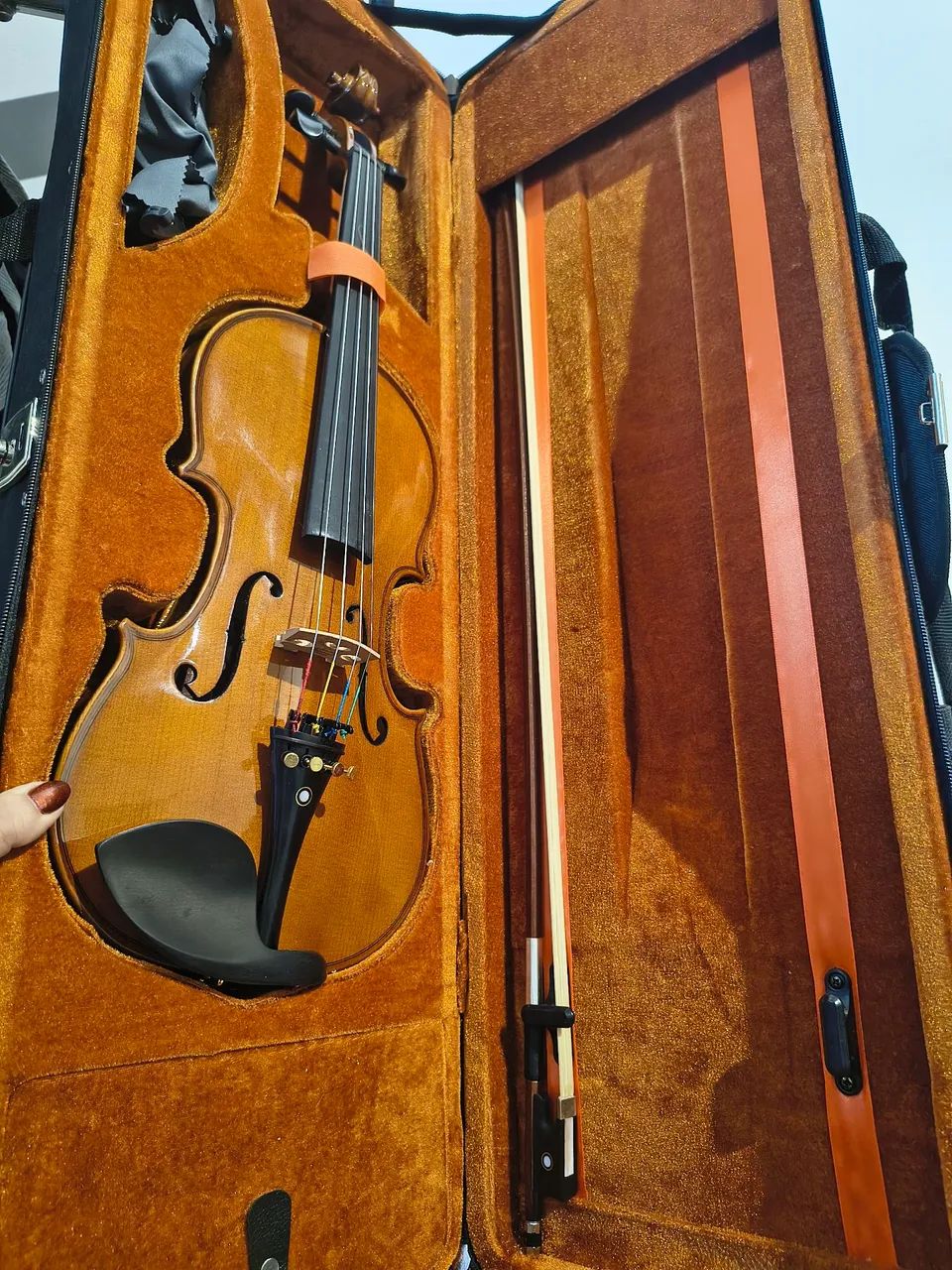 Violino Eagle, montado em ébano, modelo ve441 + Case, Breu e Arco/Ajustado por um Luthier