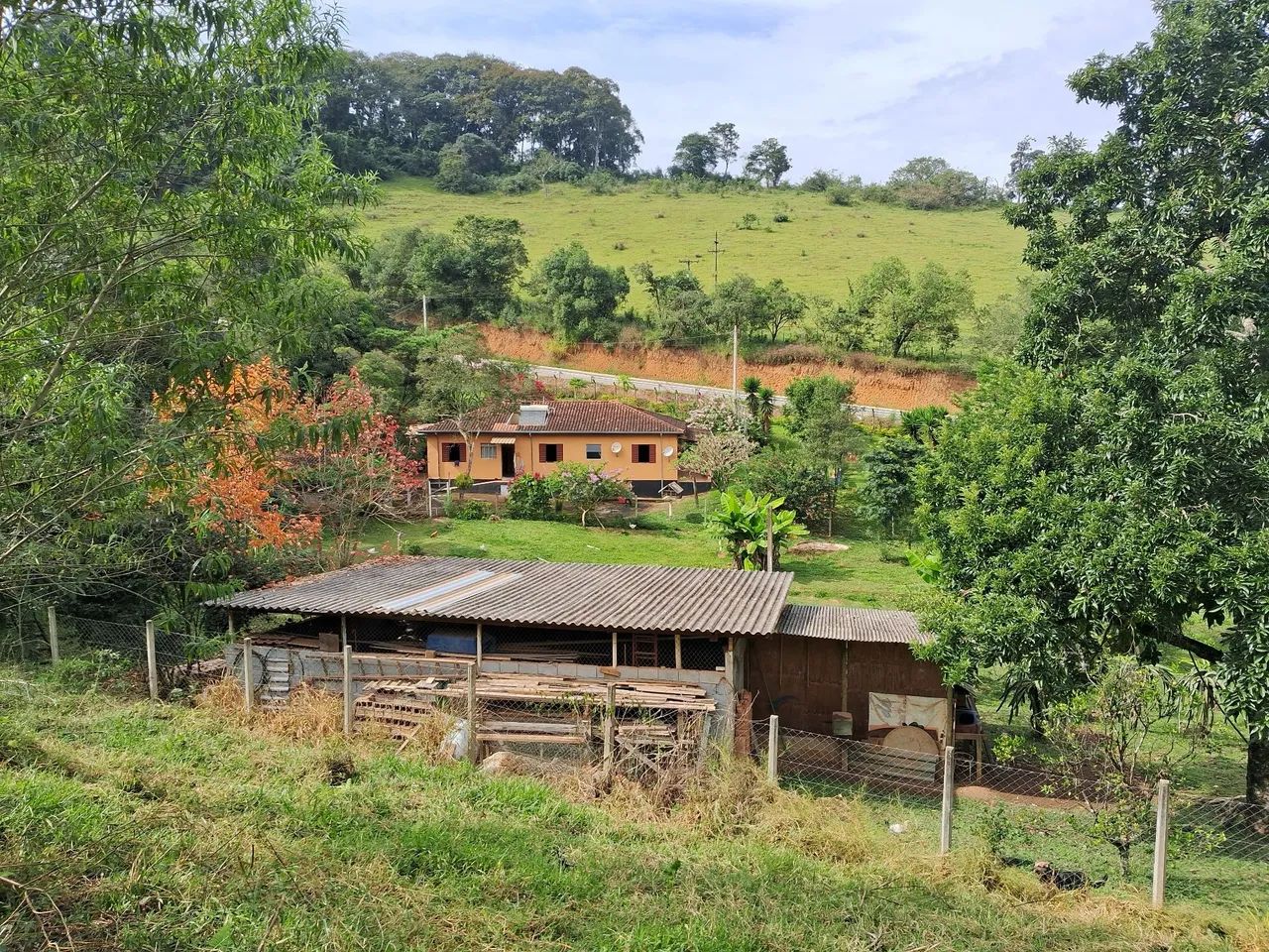 Venda De chácara em cambui 2 km da cidade  - Foto 4