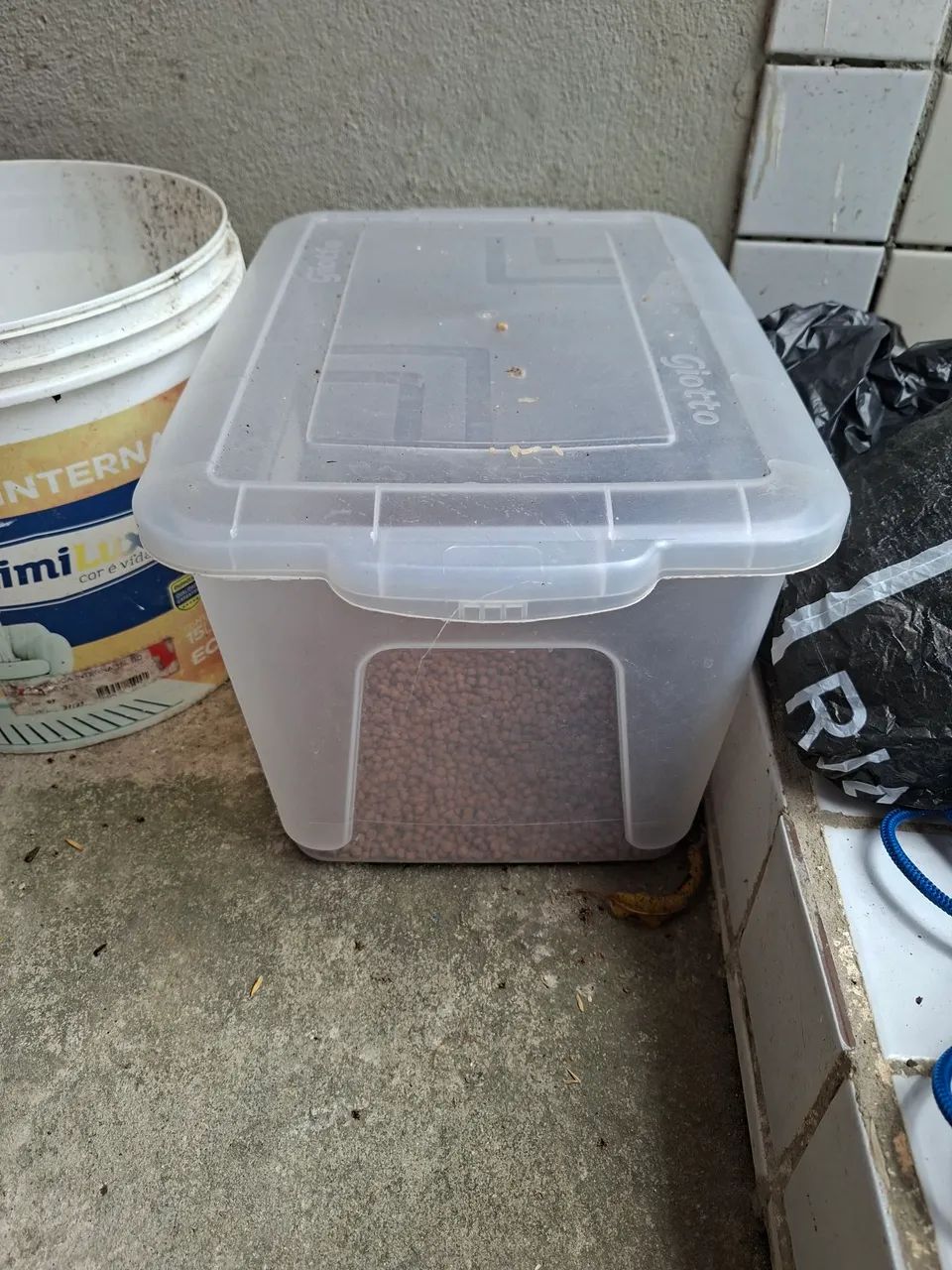 Coisinhas de gato - Foto 4