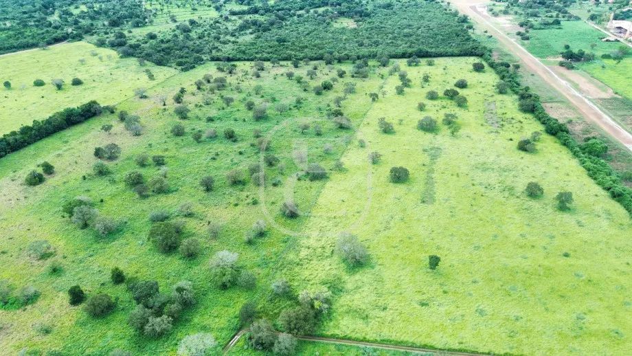 FAZENDA ARIZONA - Foto 3