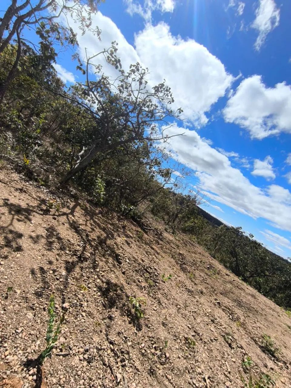 Lote 5000 metros em Jaboticatubas  - Foto 3
