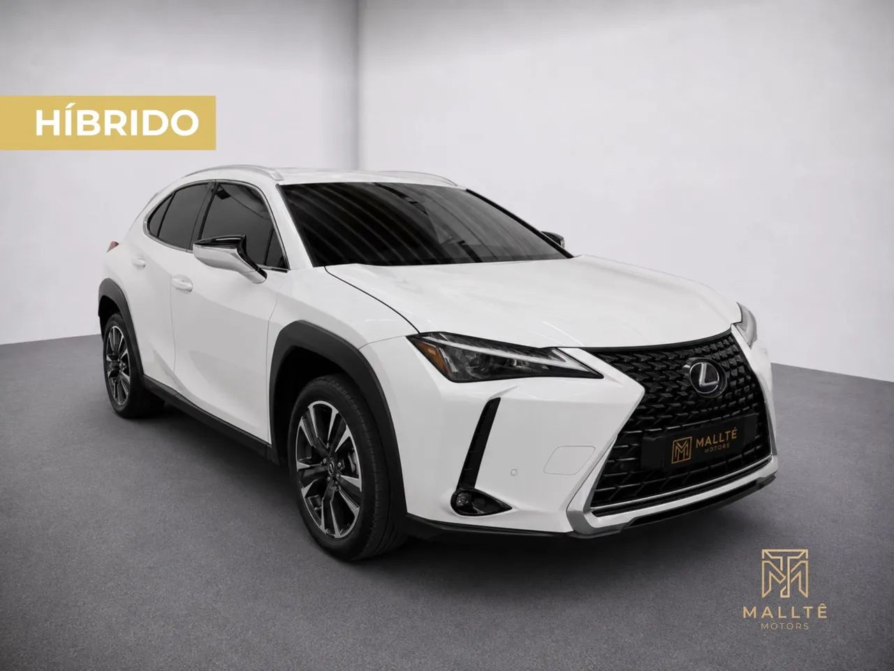 Lexus UX-250H Dynamic 2.0 16V Aut.(hybrid) 2023