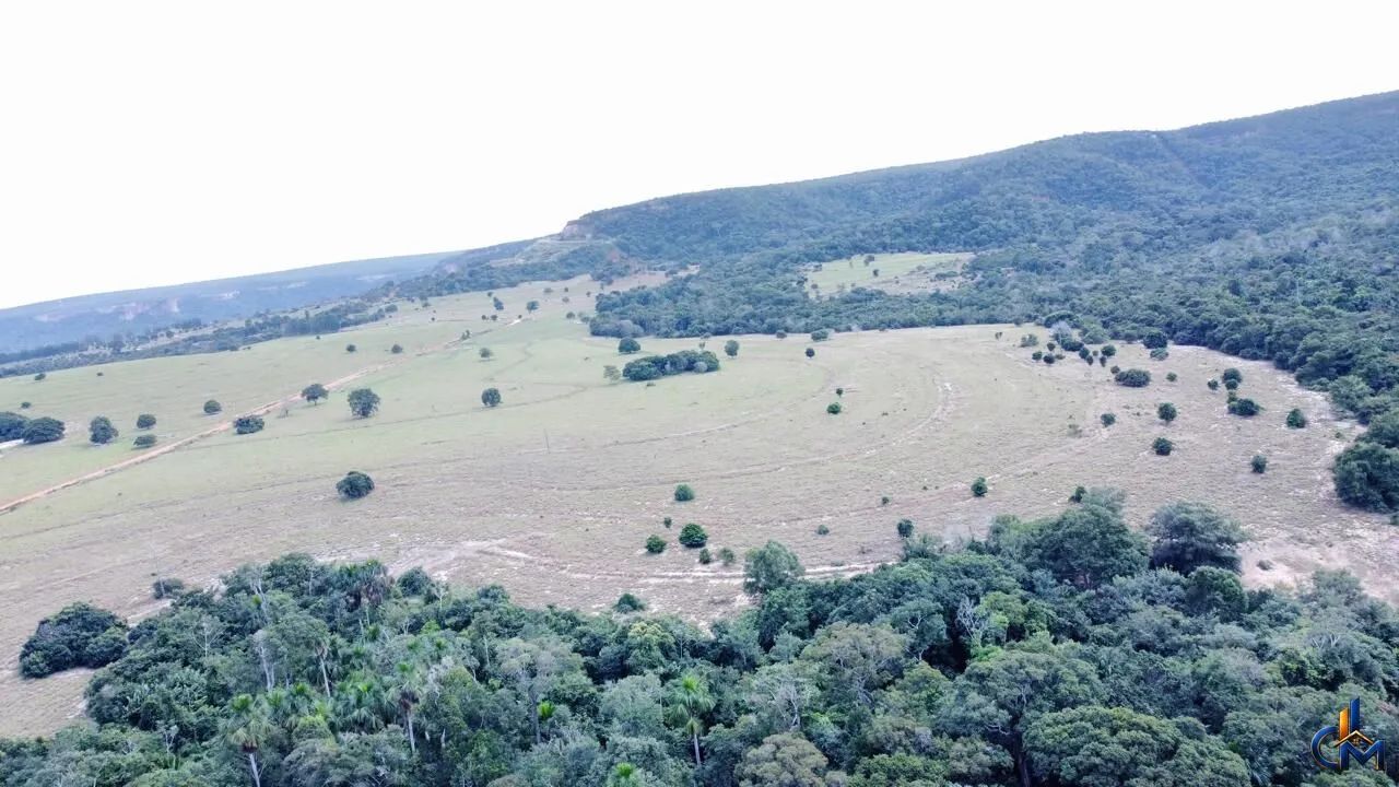 Fazenda Pecuária Tangará da Serra - Foto 5