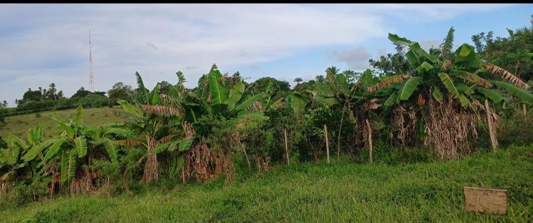 VENDO ESTE TERRENO! - Foto 2