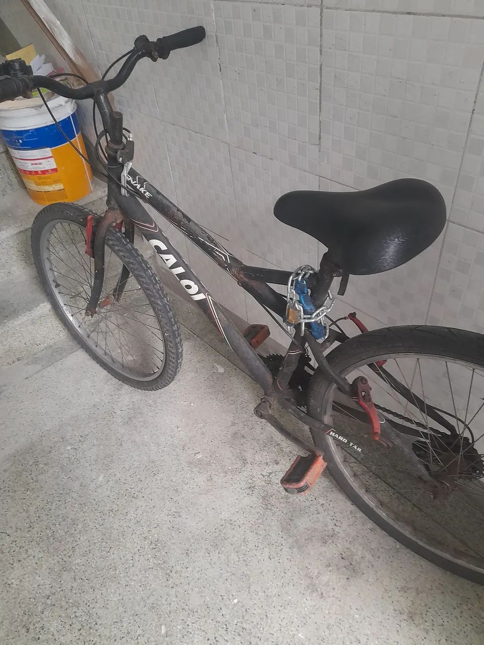 Bik Caloi
