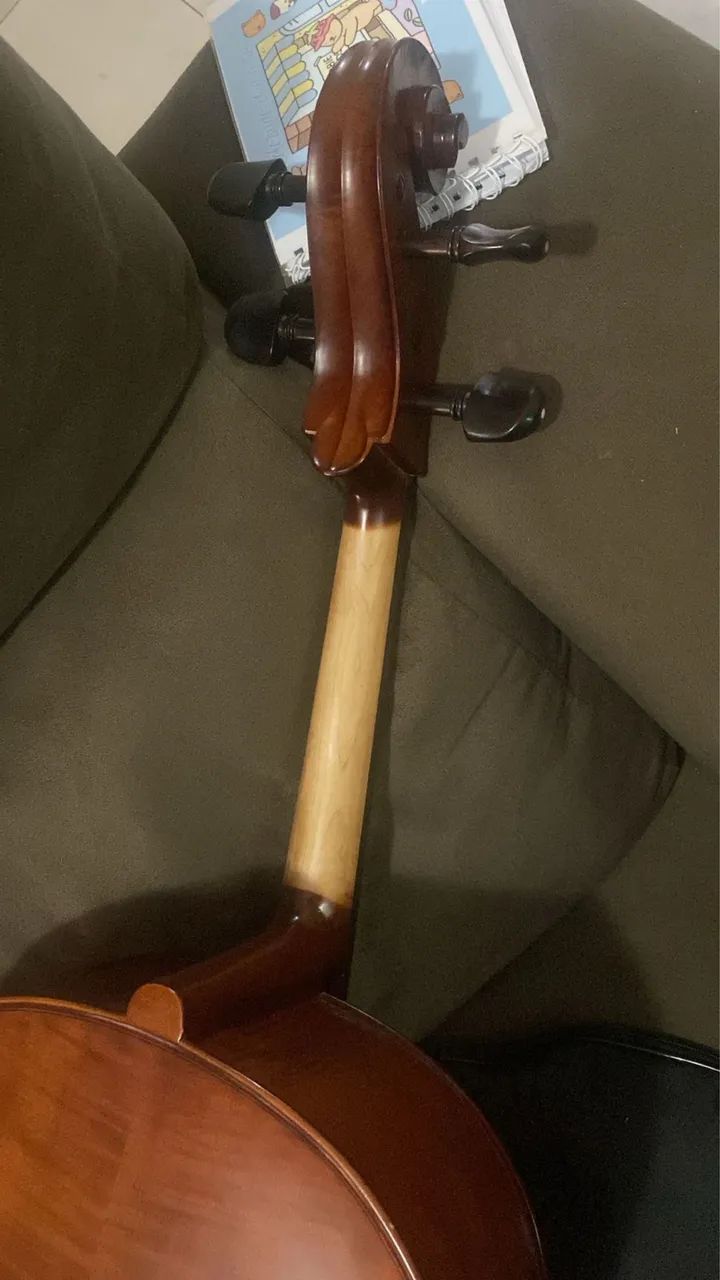 Violoncelo 4/4 Eagle CE300. - Foto 6