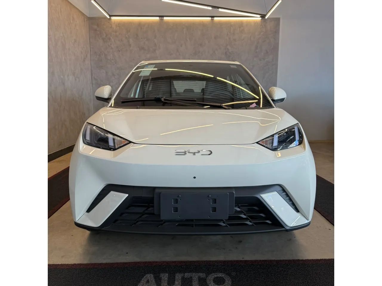 BYD Dolphin Mini (Elétrico) 2027 - Foto 2